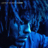 Cover: Lenny Kravitz - Low