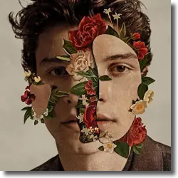 Cover: Shawn Mendes - Nervous
