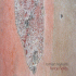 Cover: Roman Leykam - Force Fields