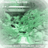 Cover Platz 34