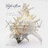 Cover Platz 23