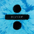 Cover Platz 8