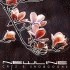 Cover Platz 20