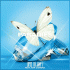 Cover Platz 16