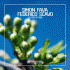 Cover Platz 18