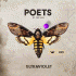 Cover: Poets Of The Fall - Ultraviolet
