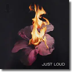 Cover: Just Loud feat. Debbie Harry of Blondie - Soul Train