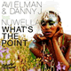 Avi Elman & Danny J feat. Nuwella – What's The Point