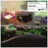 Cover Platz 12