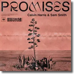 Cover: Calvin Harris feat. Sam Smith - Promises