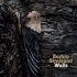 Cover: Barbra Streisand - Walls