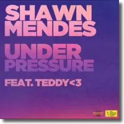Cover: Shawn Mendes feat. teddy<3 - Under Pressure