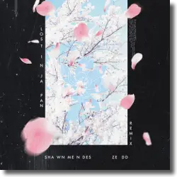 Cover: Shawn Mendes & Zedd - Lost In Japan (Remix)