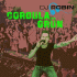 Cover: DJ Robin - Cordula Grün