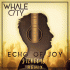 Whale City – Echo Of Joy (Stereoact Remix)
