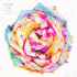 Cover Platz 7