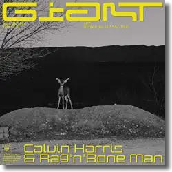 Cover: Calvin Harris & Rag'n'Bone Man - Giant