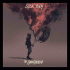 Cover: The Chainsmokers - Sick Boy