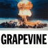 Cover: Tiësto - Grapevine
