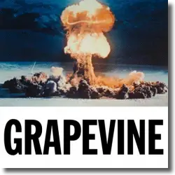 Cover: Tiësto - Grapevine