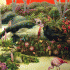 Cover Platz 8