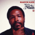 Cover: Marvin Gaye - You’re The Man