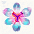 Cover Platz 84