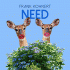 Cover Platz 24