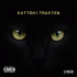 Cover: Einár - Katten i trakten