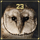 Cover Platz 10