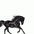 Cover: Lil Nas X - Old Town Road