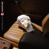 Cover: Bad Religion - Age Of Unreason