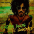 Cover: Lenny Kravitz - 5 More Days 'Til Summer