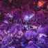 Cover Platz 8