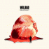 Cover Platz 19