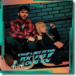Cover: R3hab feat. Julia Bergan - Don't Give Up On Me Now