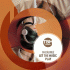 Cover Platz 15