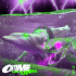 Cover Platz 10