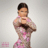 Cover: Fler - Shirinbae