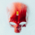 Cover Platz 38