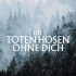 Cover Platz 21