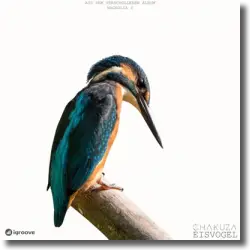 Cover: Chakuza - Eisvogel