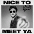 Cover: Niall Horan - Nice To Meet Ya