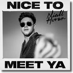 Cover: Niall Horan - Nice To Meet Ya