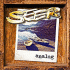Cover: Seer - Analog