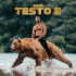 Cover: SSIO - Testo E