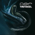 ASP – Tintakel