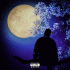 Cover: Ardian Bujupi - Luna