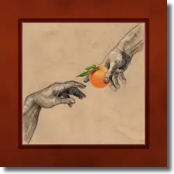 Cover: My Ugly Clementine - Vitamin C