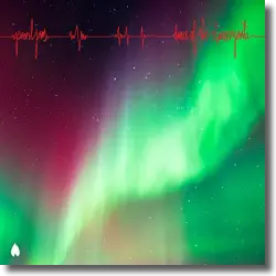 Cover: Pearl Jam - Dance Of The Clairvoyants